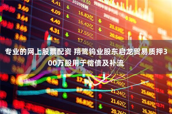专业的网上股票配资 翔鹭钨业股东启龙贸易质押300万股用于偿债及补流
